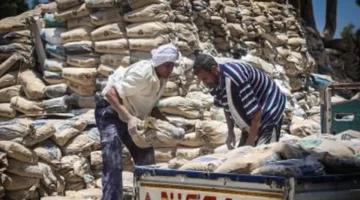 سعر الأسمنت اليوم الاثنين 17-11-2025 يستمر في الثبات